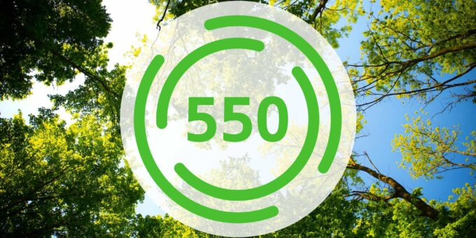 We have now planted 550 trees